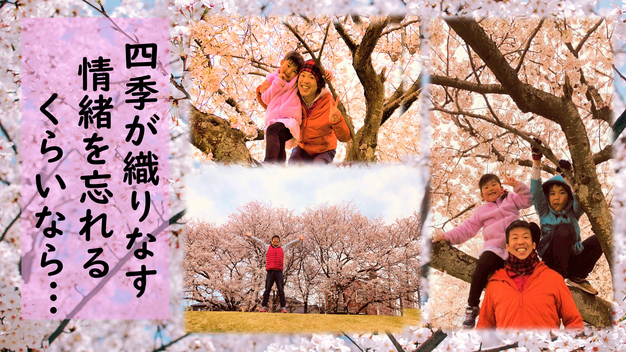 家族と桜を堪能したブログ