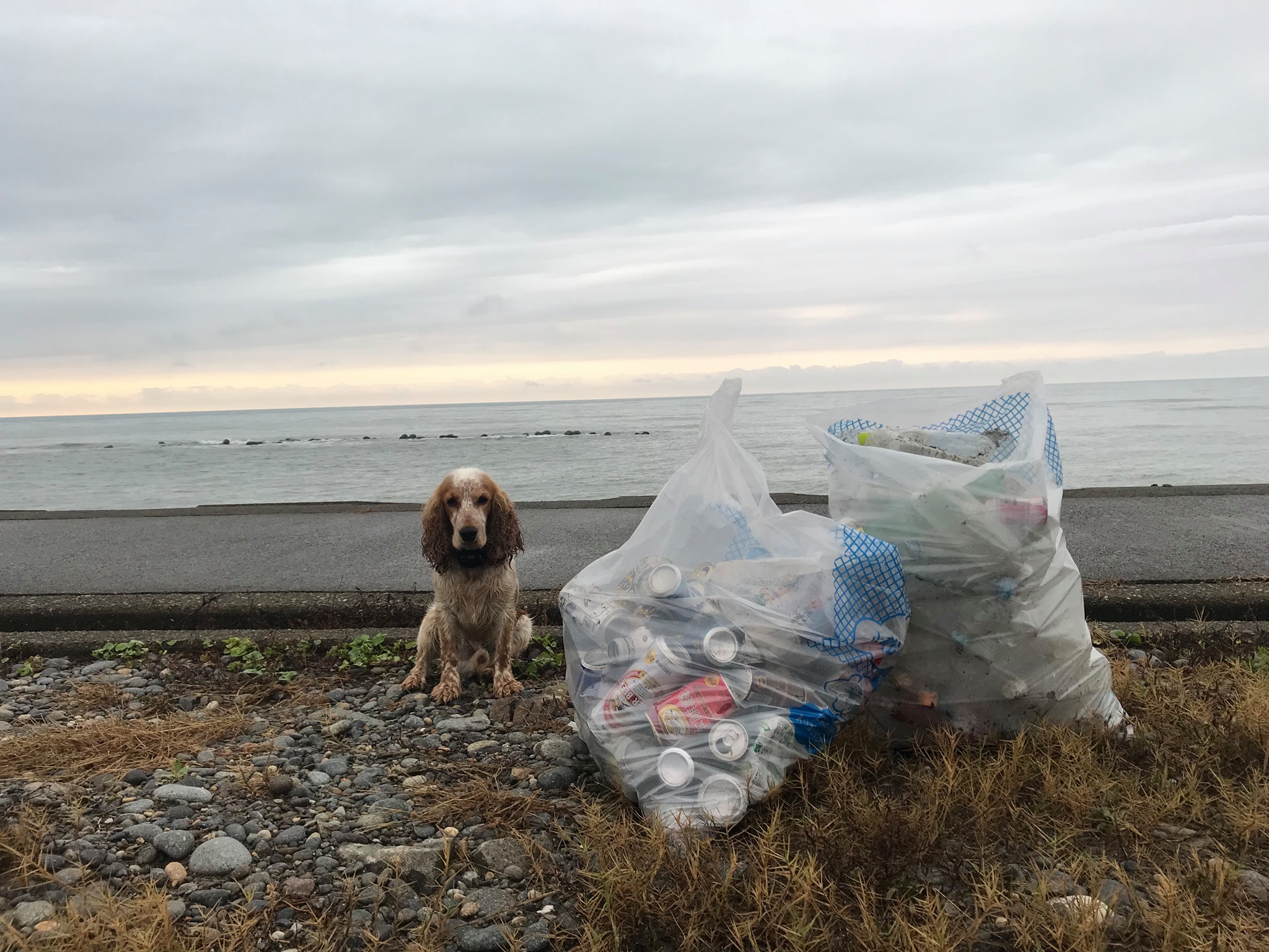 SDGsの専門家、SDGsのセミナー講師が得意な、行政書士法人スマイル(石川県)がSDGsについて親切・丁寧ご説明します！