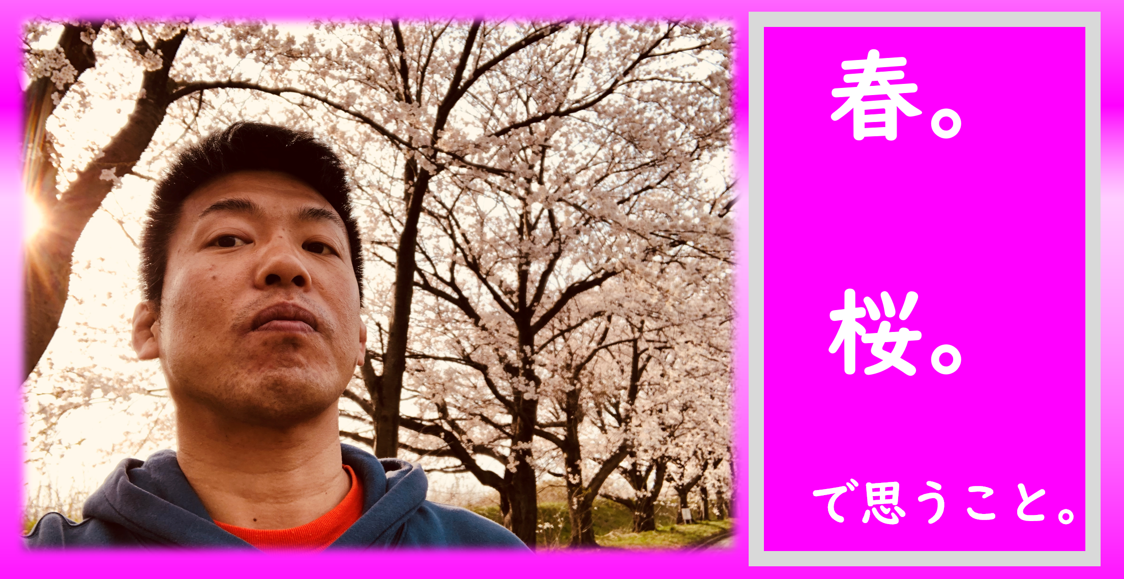 春と桜のブログです